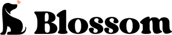 Boost Theme Bloom
